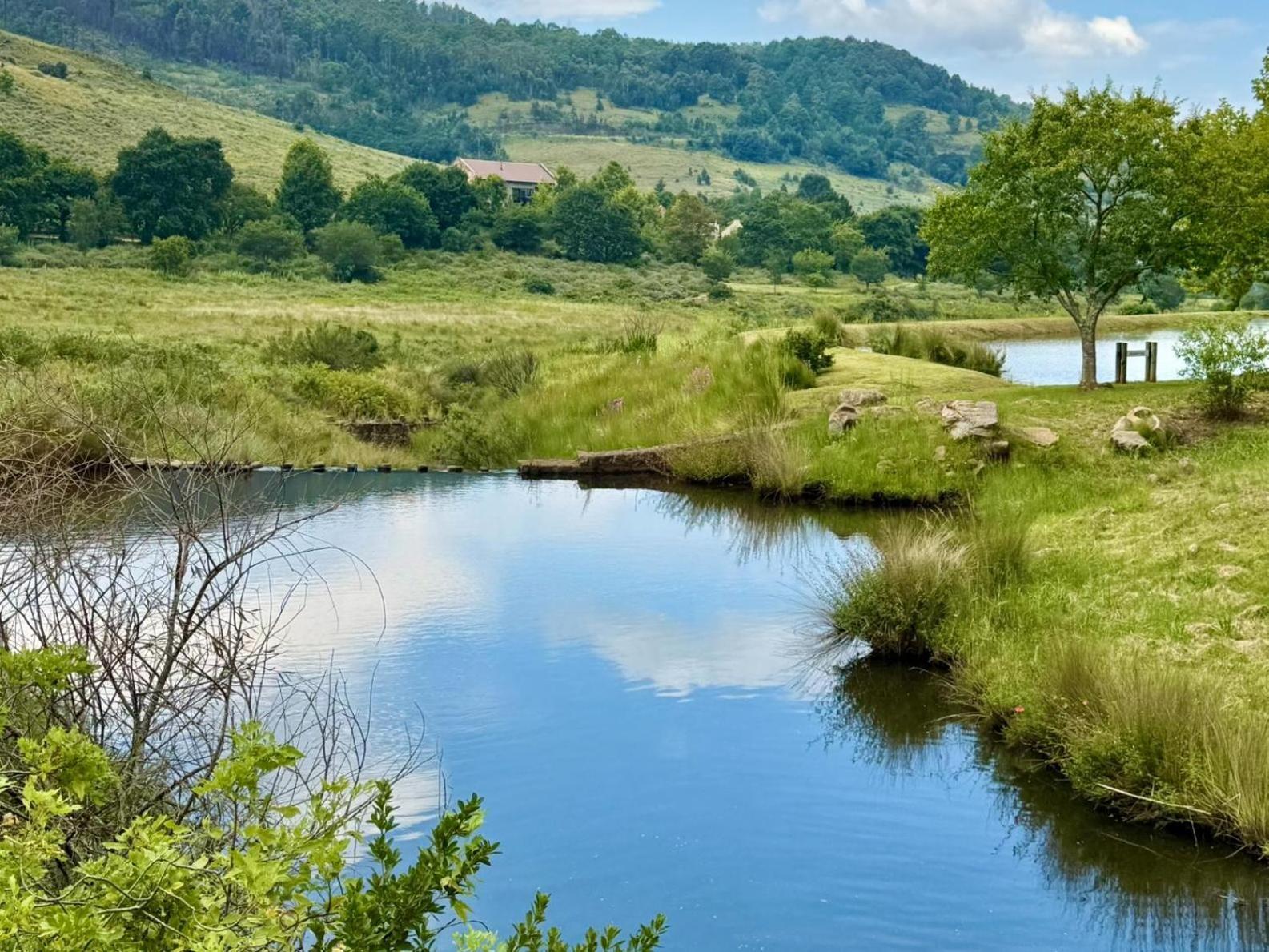 Stone Creek Mountain Lodge دولستروم المظهر الخارجي الصورة