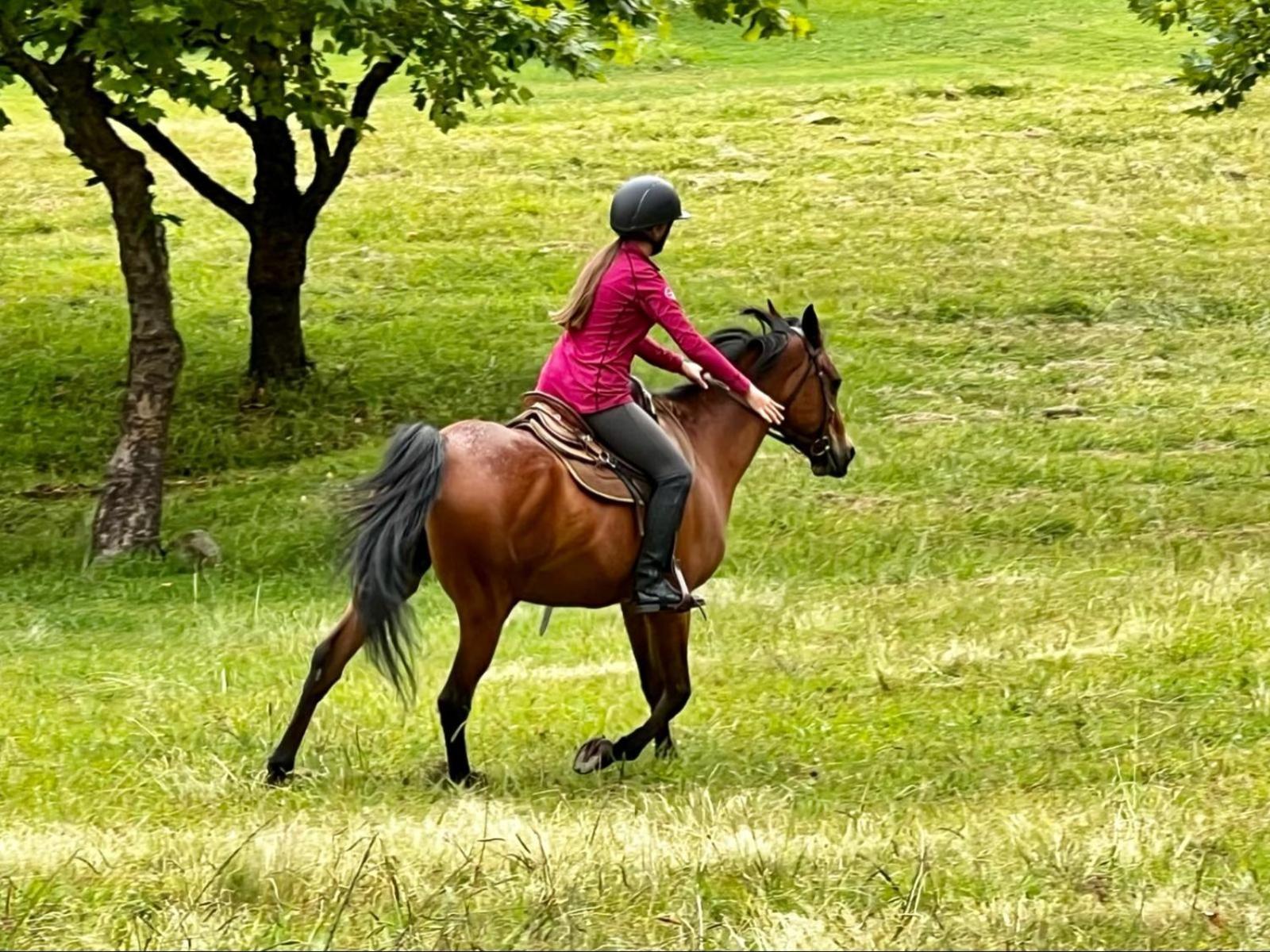 Stone Creek Mountain Lodge دولستروم المظهر الخارجي الصورة